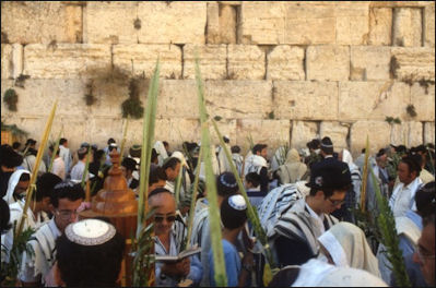 20120504-Sukkot Western Wall in Jerusalem.jpg